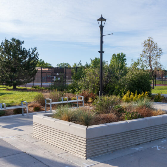 Ralston Road Bond Project - Hamon Infrastructure - Planter